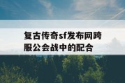 复古传奇sf发布网跨服公会战中的配合