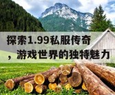 探索1.99私服传奇，游戏世界的独特魅力