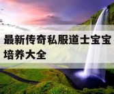 最新传奇私服道士宝宝培养大全