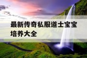 最新传奇私服道士宝宝培养大全