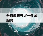 全面解析开sf一条龙服务
