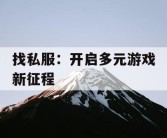 找私服：开启多元游戏新征程