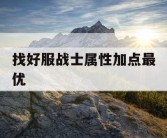 找好服战士属性加点最优