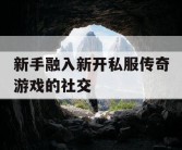 新手融入新开私服传奇游戏的社交