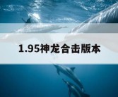 1.95神龙合击版本