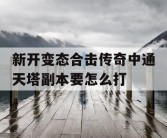 新开变态合击传奇中通天塔副本要怎么打