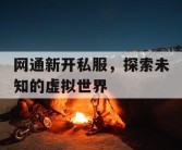 网通新开私服，探索未知的虚拟世界