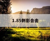 1.85刺影合击