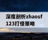 深度剖析zhaosf123打怪策略