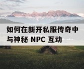 如何在新开私服传奇中与神秘 NPC 互动