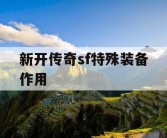 新开传奇sf特殊装备作用