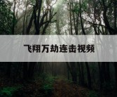 飞翔万劫连击视频