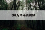 飞翔万劫连击视频