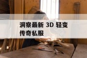 洞察最新 3D 轻变传奇私服