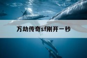 万劫传奇sf刚开一秒