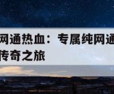 网通热血：专属纯网通传奇之旅