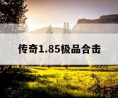 传奇1.85极品合击