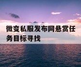 微变私服发布网悬赏任务目标寻找
