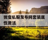 微变私服发布网套装属性激活