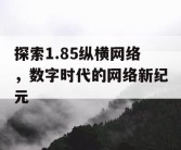 探索1.85纵横网络，数字时代的网络新纪元