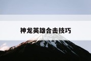 神龙英雄合击技巧