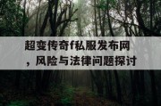 超变传奇f私服发布网，风险与法律问题探讨