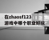 在zhaosf123游戏中哪个职业好玩