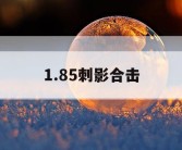 1.85刺影合击