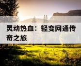 灵动热血：轻变网通传奇之旅
