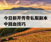今日新开传奇私服副本中回血技巧