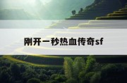 刚开一秒热血传奇sf
