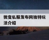 微变私服发布网独特玩法介绍