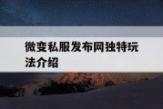 微变私服发布网独特玩法介绍