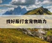 找好服打金宠物助力