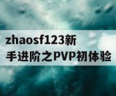 zhaosf123新手进阶之PVP初体验