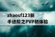 zhaosf123新手进阶之PVP初体验