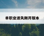单职业迷失刚开版本