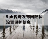 9pk传奇发布网隐私设置保护信息