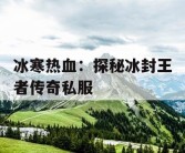 冰寒热血：探秘冰封王者传奇私服