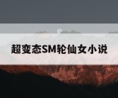 超变态SM轮仙女小说