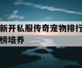 新开私服传奇宠物排行榜培养