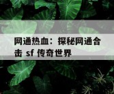 网通热血：探秘网通合击 sf 传奇世界