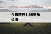 今日新开1.90玉兔私服