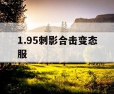 1.95刺影合击变态服