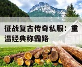 征战复古传奇私服：重温经典称霸路