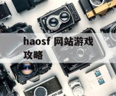 haosf 网站游戏攻略