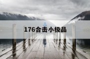 176合击小极品