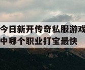 今日新开传奇私服游戏中哪个职业打宝最快