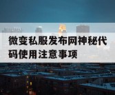微变私服发布网神秘代码使用注意事项
