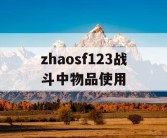 zhaosf123战斗中物品使用